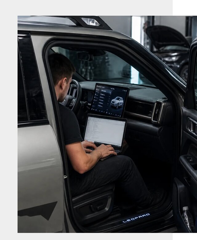 Русификация BYD Leopard 3 в Карталах по цене от 20758 р. | ФастМобиль-Крт